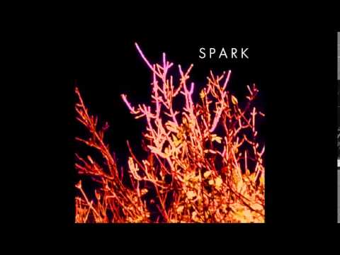 SPARK