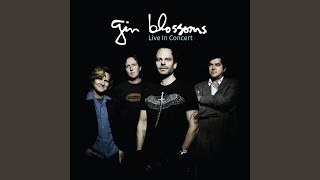 Hey Jealousy by Gin Blossoms