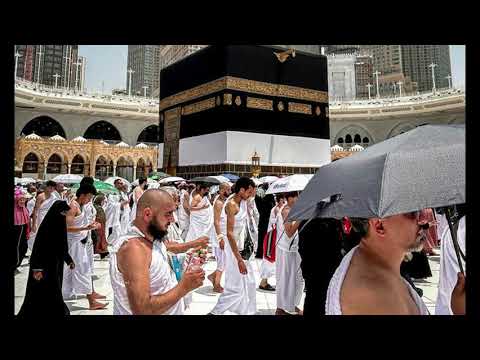 Hajj 2025 News Saudi Arabia ' #saudiarabia