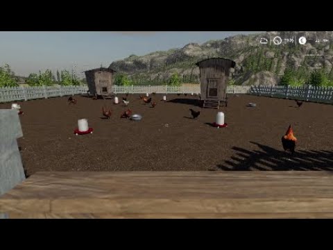 Hühner ?! / Ich erkläre es euch !! /LS19