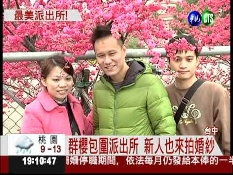 櫻花綻放迎賓 全台最美派出所