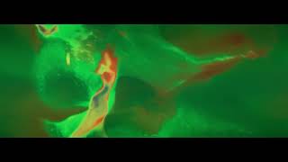 The Dandy Warhols: The Creep Out