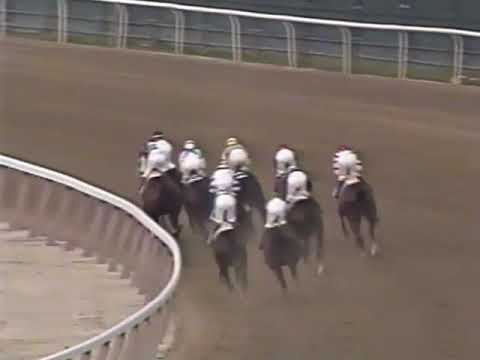 1989 Belmont Stakes