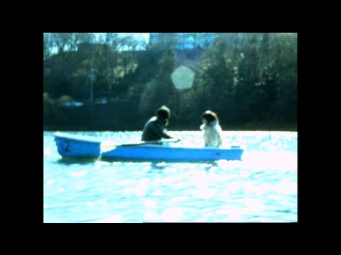 フューチュラマ シーズン 5について詳しく解説