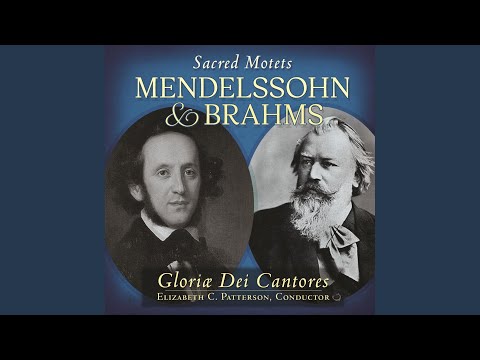 3 Motets, Op. 39: No. 2, Laudate pueri Dominum, MWV B30