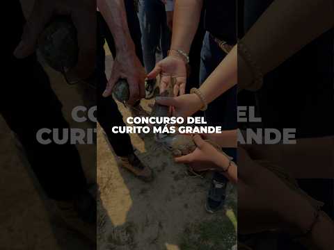 La competencia de #curitos en la primavera - #vichada 🤠 #pesca #pez #pescador