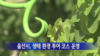 [울산] 울산시, 생태 환경 투어 코스 운영 / YTN