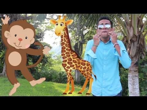la jirafa y el mono-Alexis el jarochito