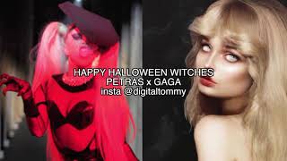 Kim Petras x Lady Gaga - In the Next Life, Hooker (Mashup Concept)