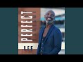 Perfect (Instrumental) - Lee - Topic Perfect (Instrumental)