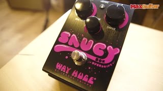 Way Huge Saucy Box - What To Know & Where To Buy | Equipboard Way Huge Saucy Box - What To Know & Where To Buy | Equipboard