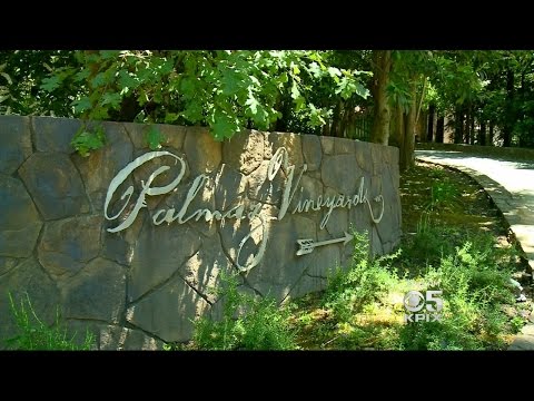 A Napa Valley Vineyard Pushes For A Helipad