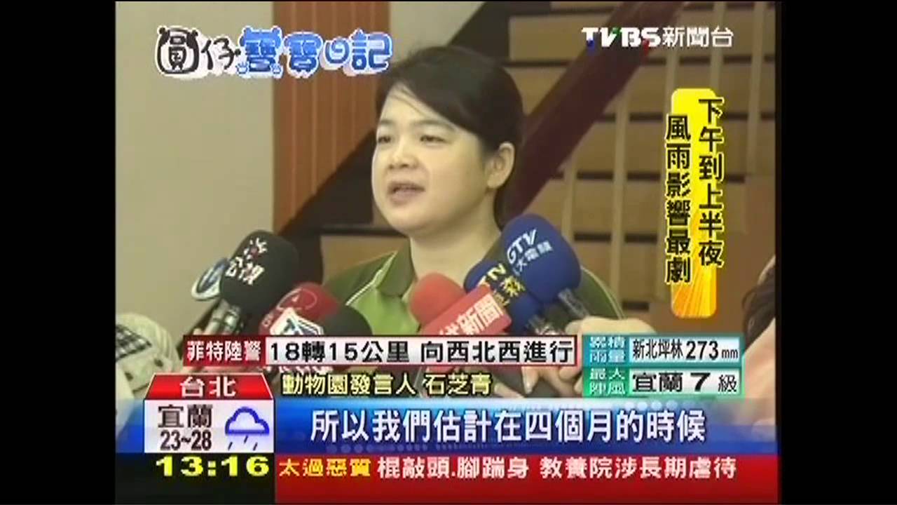 抓到訣竅 圓仔撐起四肢緩動、可控方向