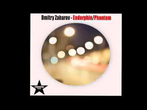 Dmitry Zaharov - Endorphin (original mix) [Fragmatic Records].avi