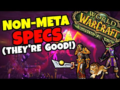 The Weirdest Specs That Actually WORK in TBC Anniversary...