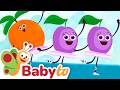 Swan Lake Ballet Classical Music Performance BabyTV