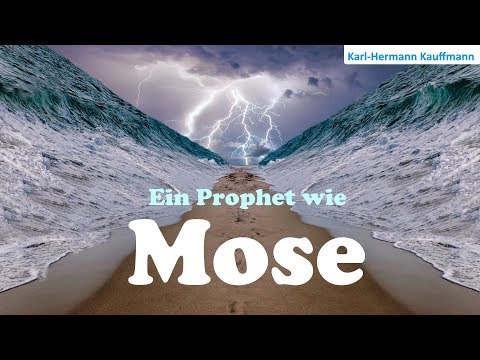 Ein Prophet wie Mose - Karl-Hermann Kauffmann