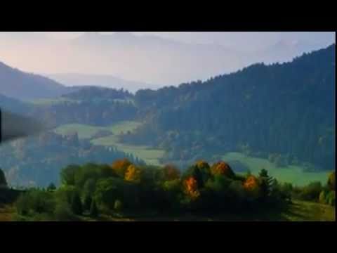 WOJCIECH GASSOWSKI - Zielone Wzgorza Nad Solina