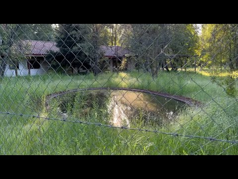 Sucesos paranormales alrededor del cerro los cristales, Bio Bio.