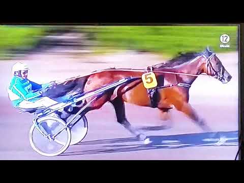 V75 Jägersro DD 1 Svenskt Travderby Calgary Games