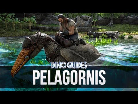 ARK: Survival Evolved - Pelagornis Guide (Behaviour, Statistics and Functionality)