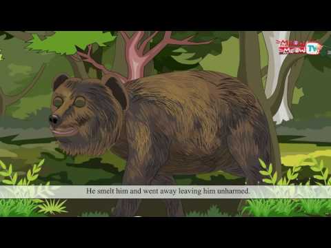 The Bear And The Two Friends - Meow Meow TV