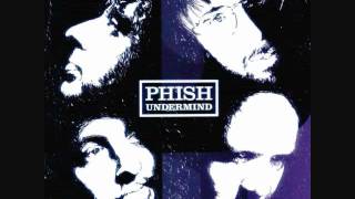 Phish - The Connection