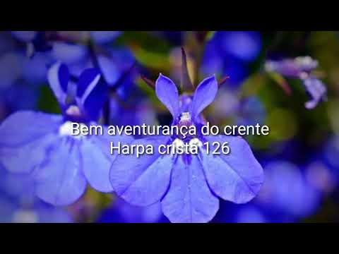 Bem-aventurança do Crente  Harpa Cristã