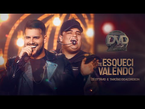 TE ESQUECI VALENDO - Zé Ottávio e Tarcísio do Acordeon (DVD Ao Vivo em Goiânia)