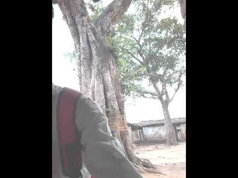 Mansukh marki nagpuri song