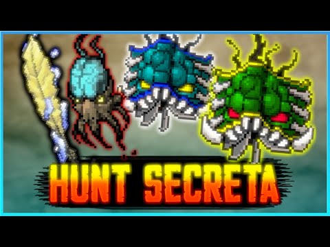 A ICE LIBRARY SECRETA que SEMPRE está VAZIA no TIBIA!