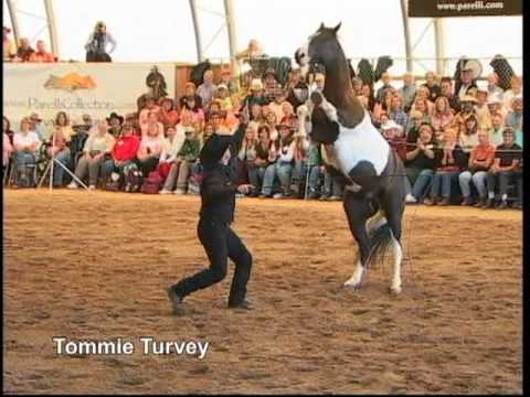 This is Tommie Turvey!