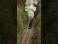 South Dakota’s most scenic train ride 🚂🌲