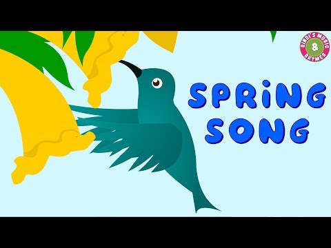 Spring Song | Season Song | Nursery Rhymes | Bindi's Music & Kids Rhymes