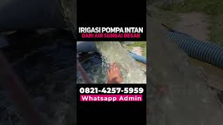 Download lagu areal pompa intan 8 inch info pembelian Hubungi admin WA 0821-4257-5959 mp3 Download lagu areal pompa intan 8 inch info pembelian Hubungi admin WA 0821-4257-5959 mp3