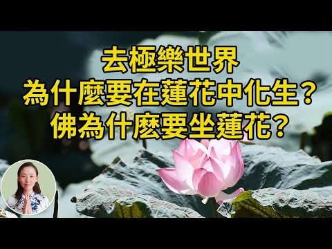 蓮花意思