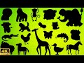 Guess The Shadow Of The Animals Quiz Shadow Game Learning Animals Video For Kids Family FunTime