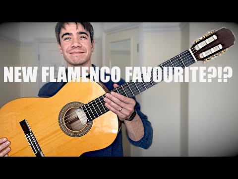 The New Flamenco Favourite? REVIEW Javier Castaño Blanca 1a