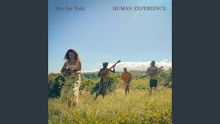 Human Experience