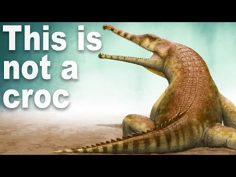 Every Time Things Have Evolved Into Crocodiles