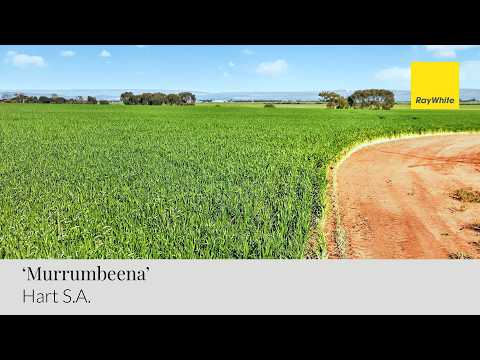 'Murrumbeena' Murrumbeena Road, Hart, SA 5464, 0 slaapkamers, 0 badkamers, Lifestyle Property