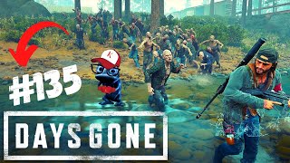 DAYS GONE #135 - HORDA GIGANTE CHEMULT , SE EH LOKOOO | GAMEPLAY | [ PS4 ]