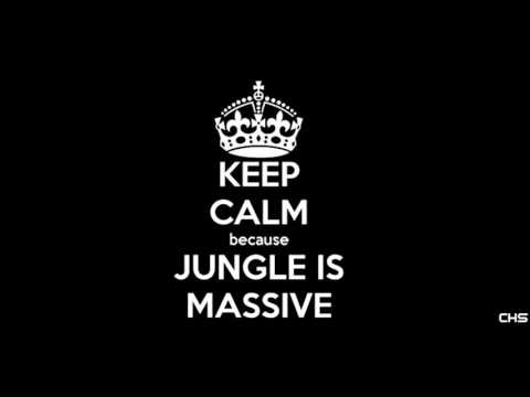 Oldschool Jungle Mix (CHS)