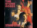 Stone Roses - Waterfall - Tokyo 1989 