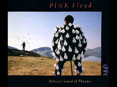 Pink Floyd 1988 Delicate Sound of Thunder album nr 14