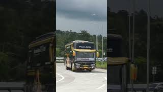 Download lagu Ada yang tau ini telolet Basuri V Berapa? 🤔 // Bus Syifa Happy Trans #shorts mp3