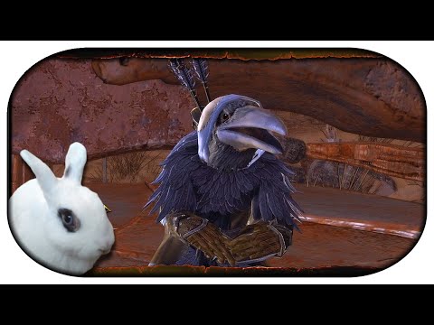 NEVERWINTER: Paladin-LP 🐇 212 - Eine Fahrt in die Hölle