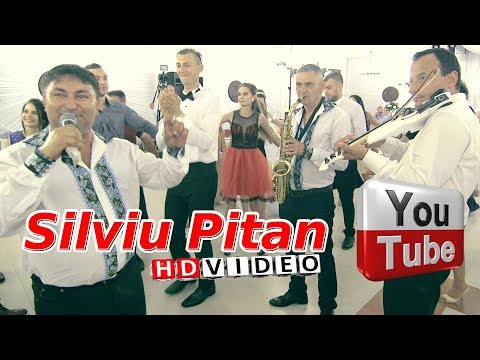 Silviu Pitan si Costica Dindiri - Se duc anii unu cate unu | Colaje HORA Ionut & Alexandra