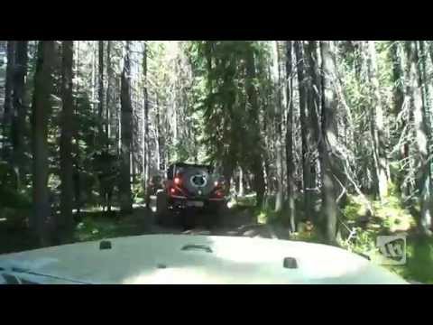 PNW : 2014 JK-Experience Moby in the Trees Teaser