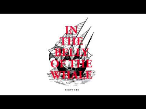 In The Belly Of The Whale - Scott Orr